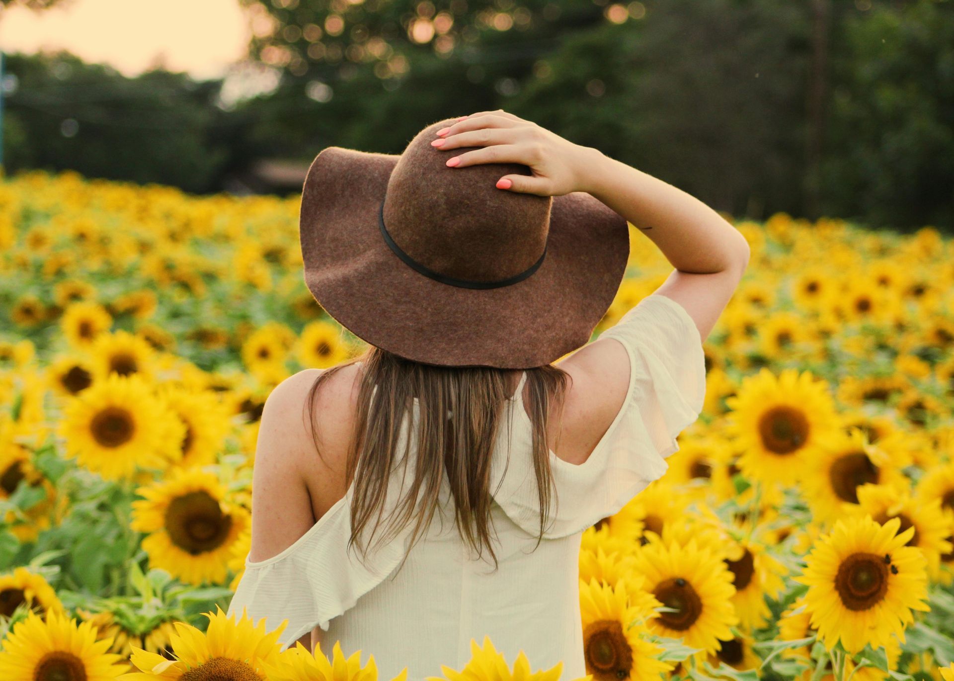 Woman in a brown hat stands in a field of sunflowers, hand on her hat, back to the camera.