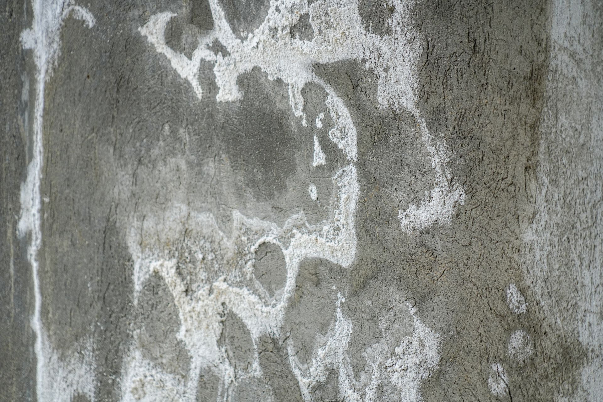 White, chalky patches forming irregular patterns on a rough gray concrete surface.
