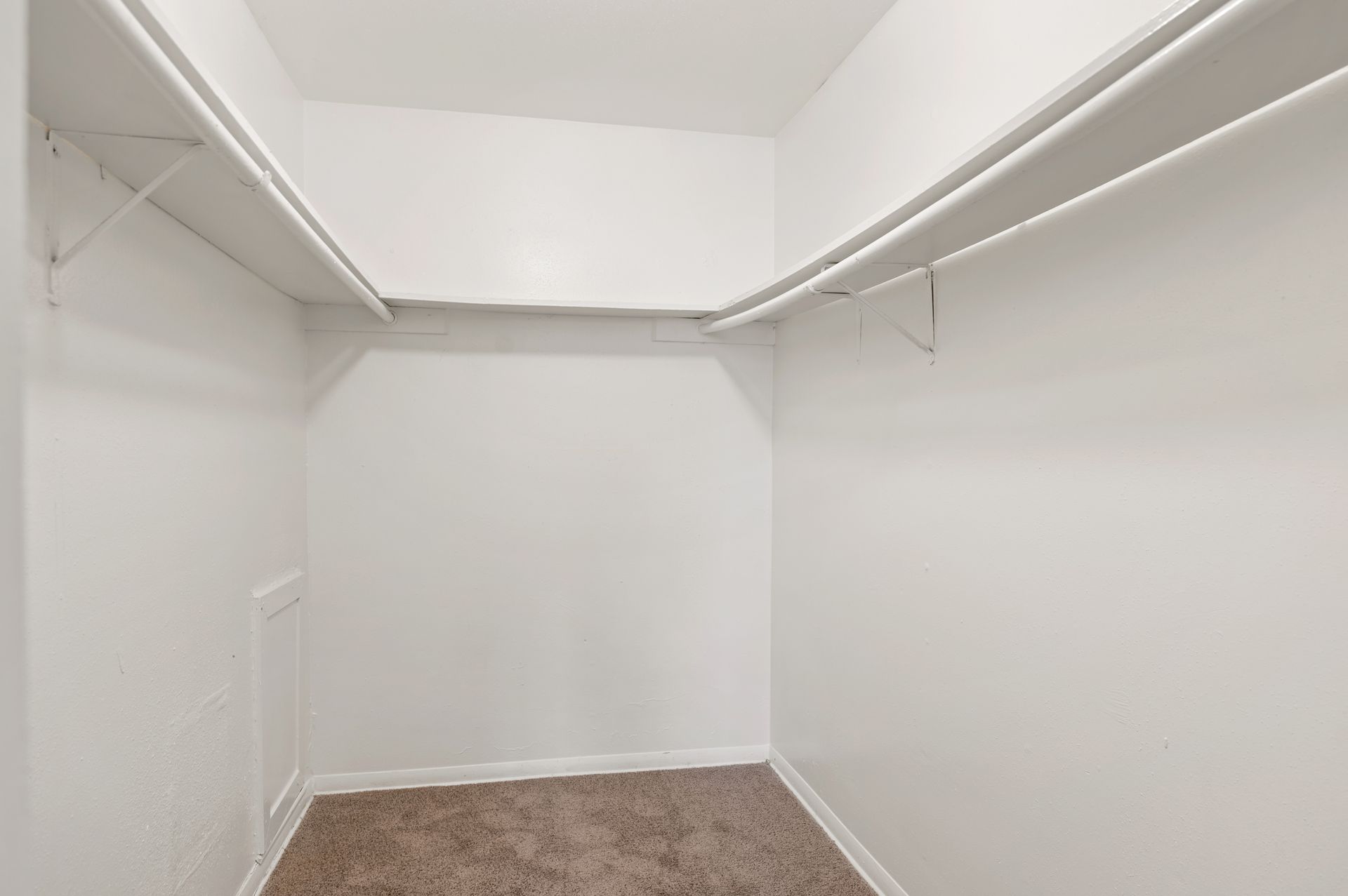Empty white closet with shelves and carpeted floor.