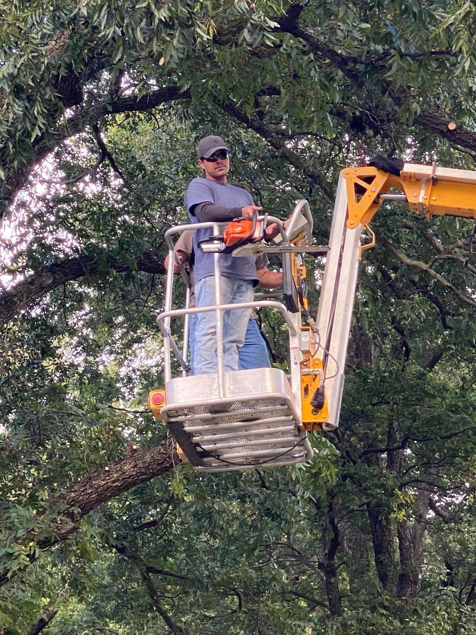 Person using a chainsaw in an aerial lift to trim a tree.