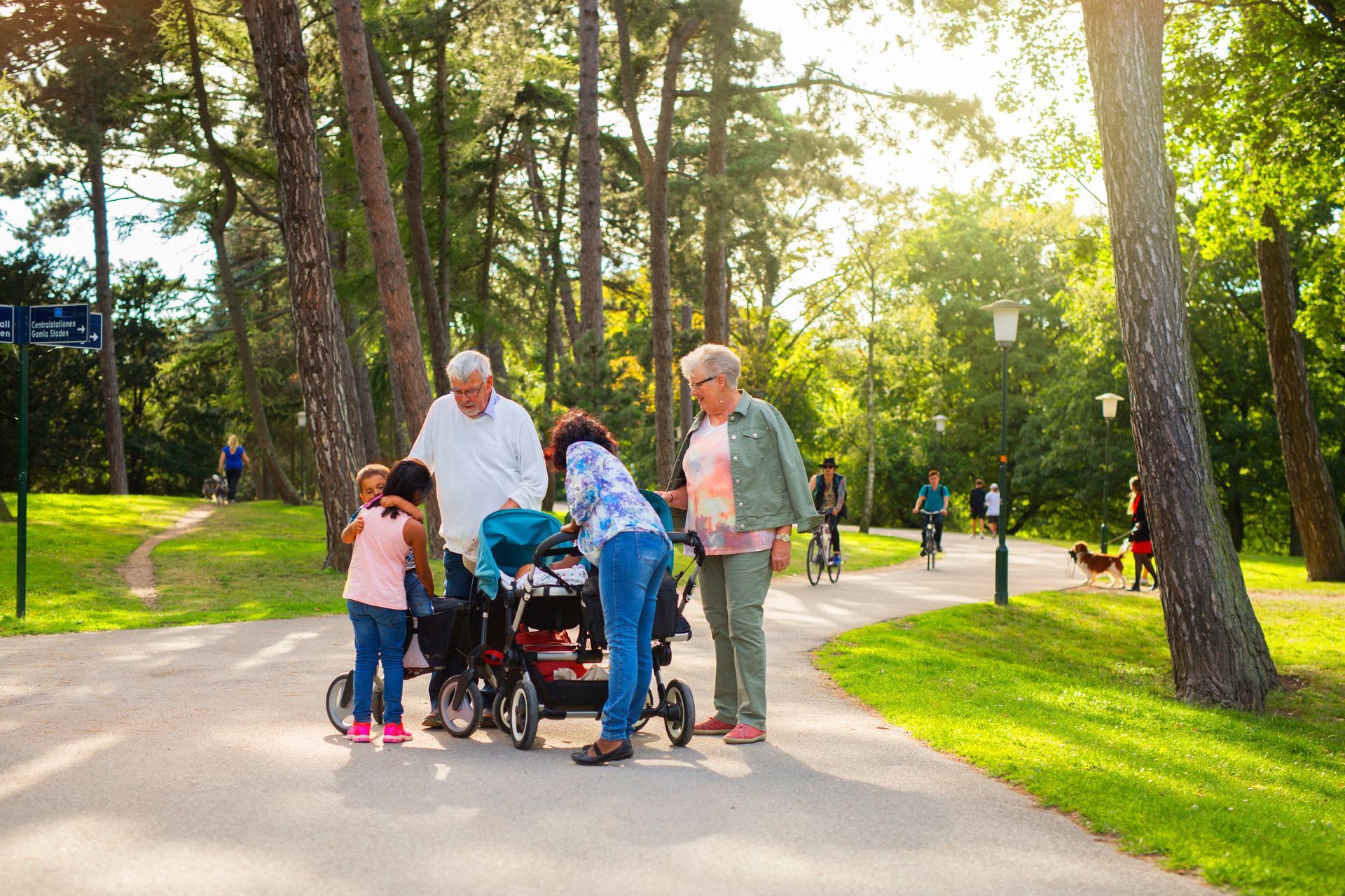 Family in park: grandparents, parents, children, stroller, walking path, trees, sunshine.