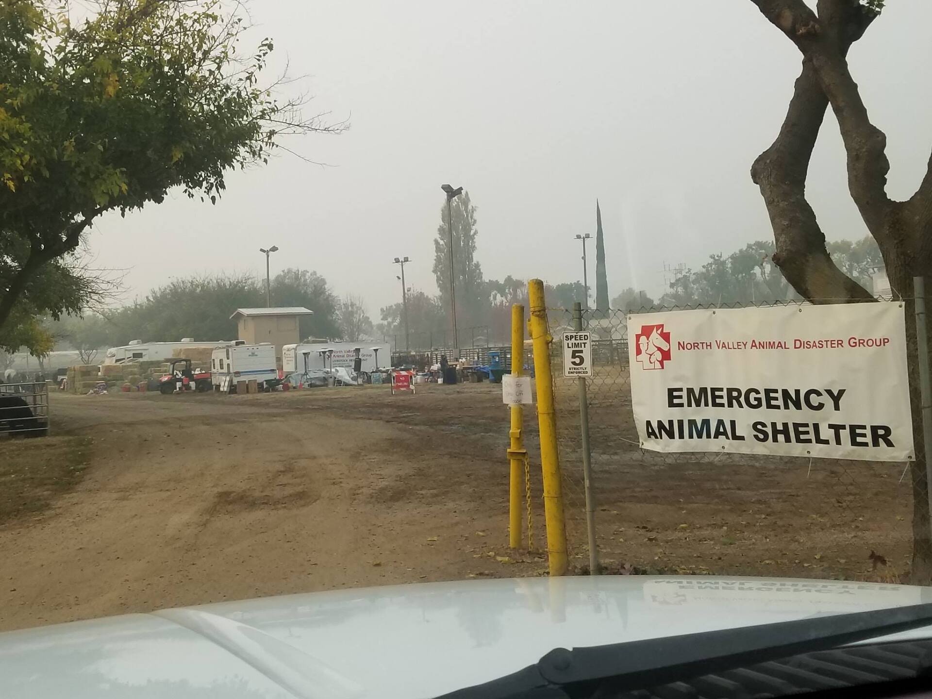 Fire animal shelter