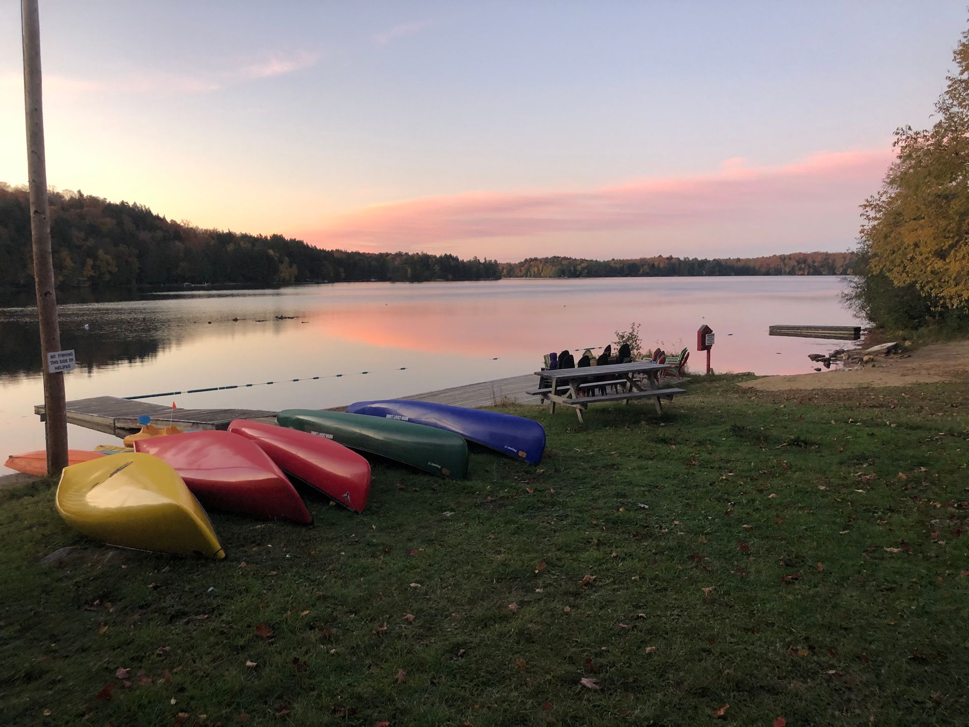 A group of kayaks are sitting on the grass near a lake at sunset.