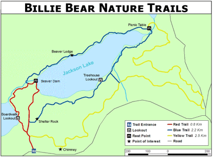 Billie Bear Trails Map