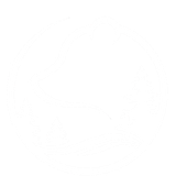 Billie Bear Logo
