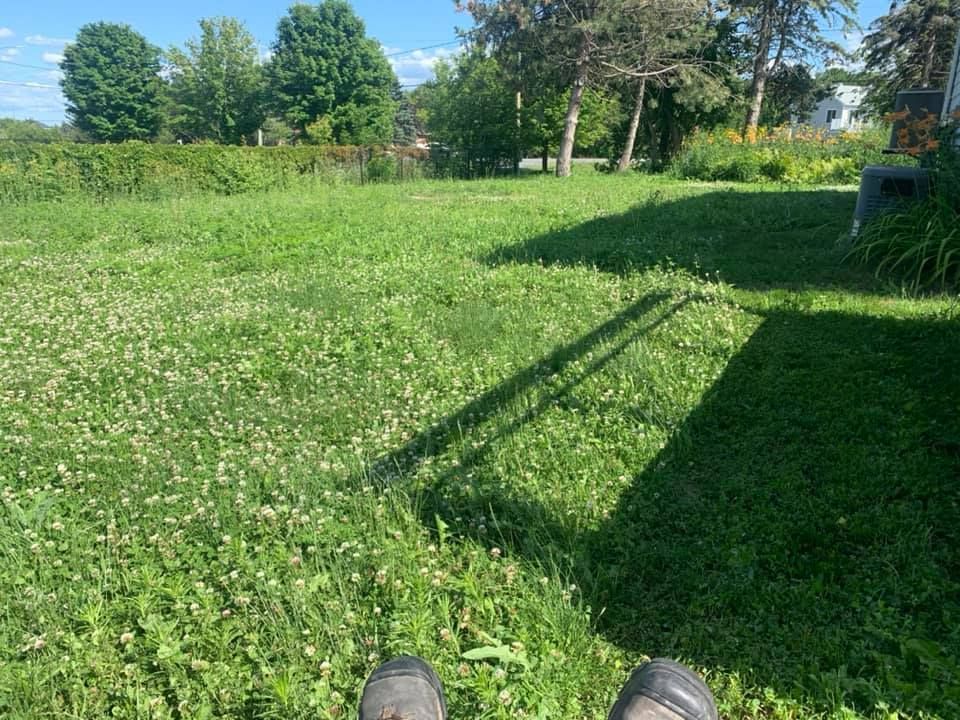 Red excavator digging in dirt, surrounded by logs and trees under a partly cloudy sky.