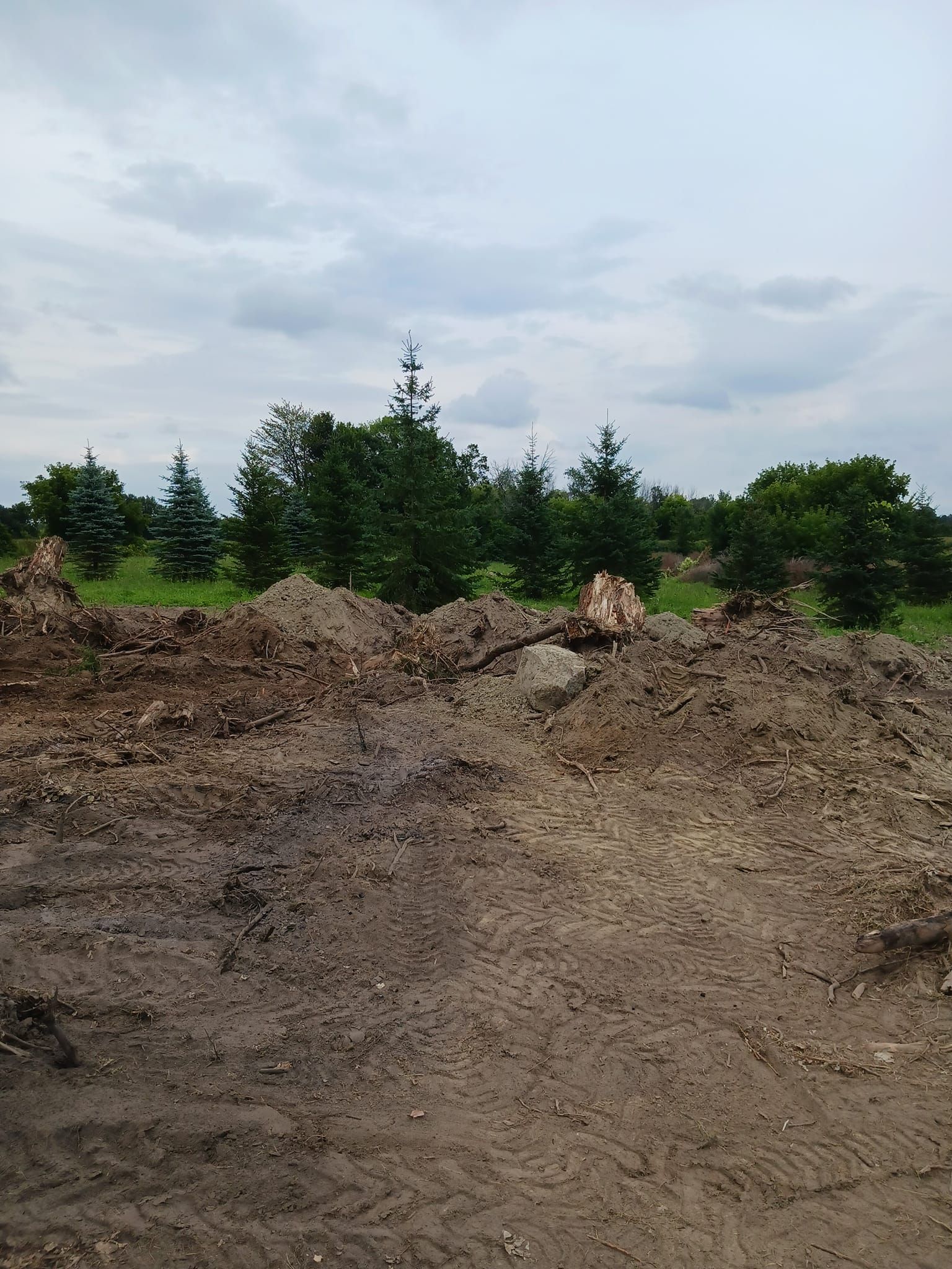 Brown dirt pile in front of green trees and grass field under a cloudy sky.