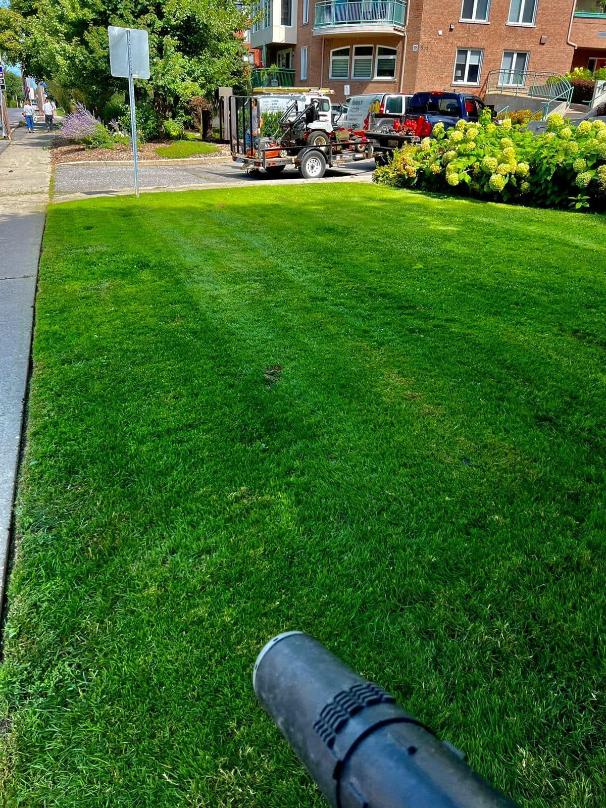 A person using a leaf blower on a green lawn near a street and buildings.