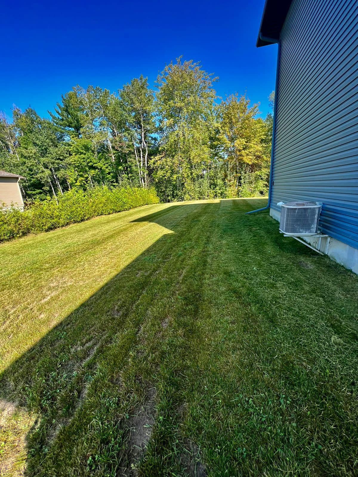 Lawn in sunlight with freshly mowed grass, a building, and trees. Blue sky.