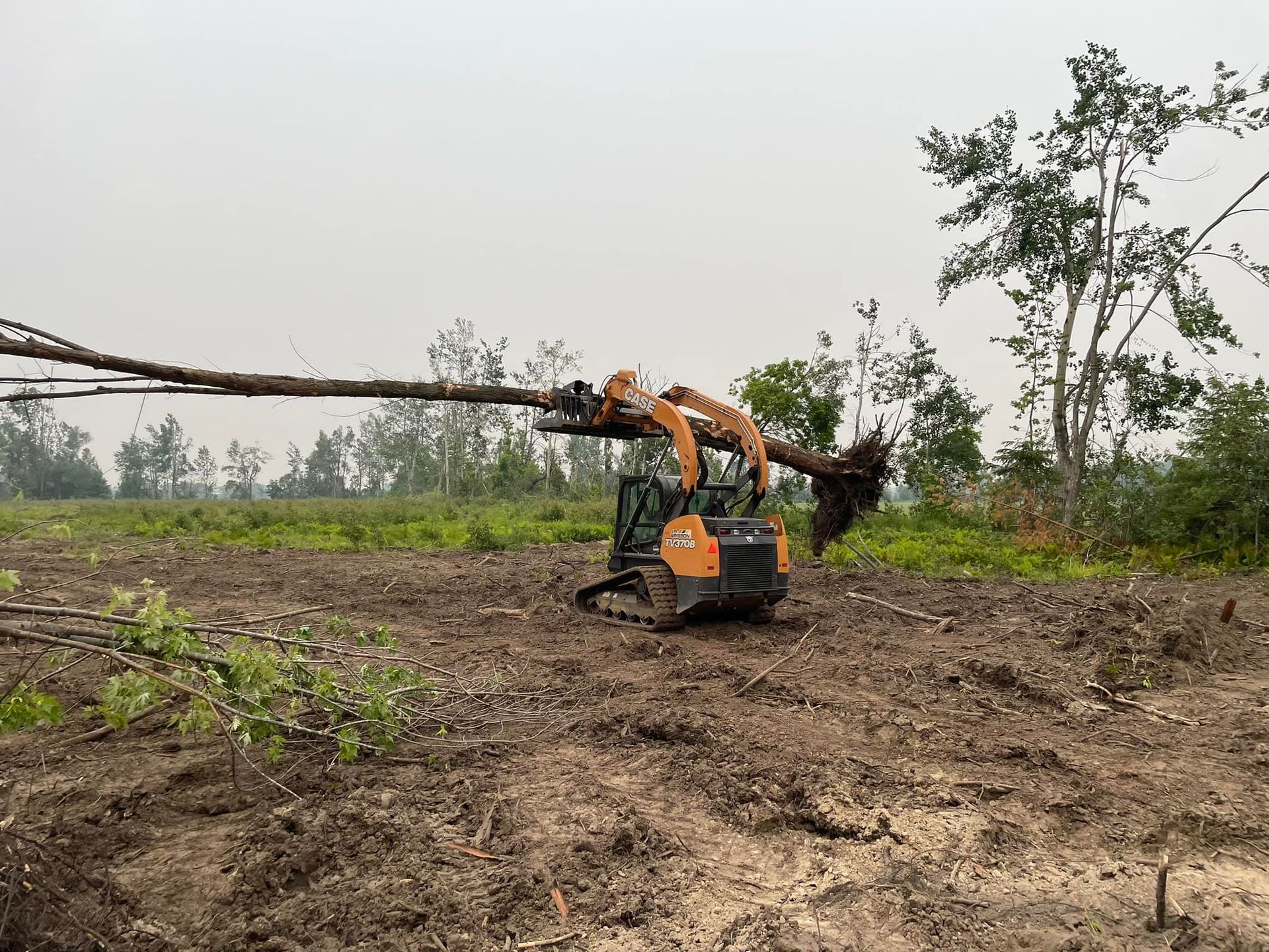Skid steer tractor lifting a large tree trunk in a field clearing area.