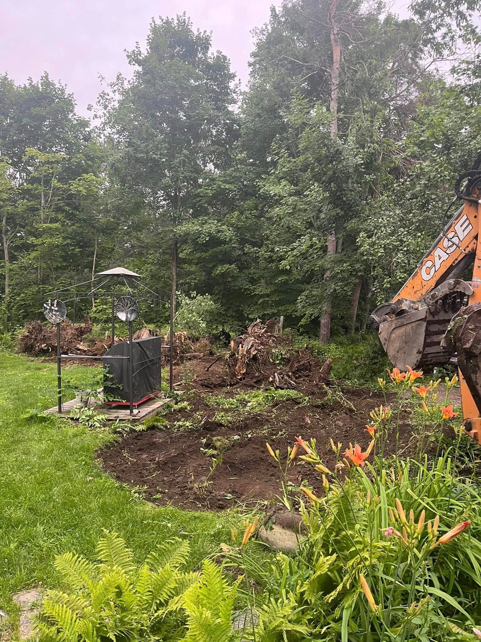 Backhoe working in a yard clearing dirt. Trees in the background, flowers in the foreground.