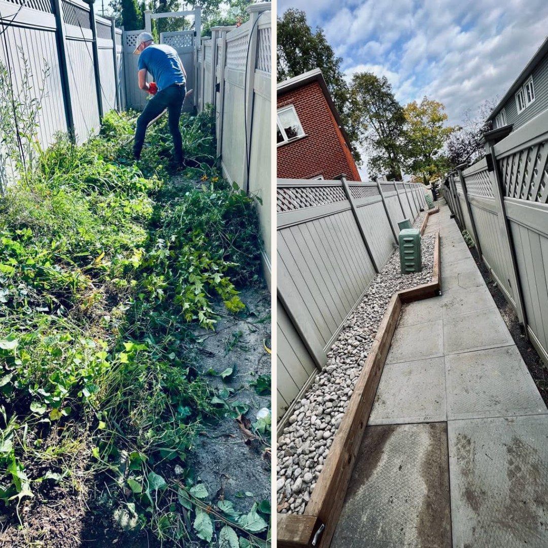 Man clearing overgrown vegetation, transforms into a neat, paved walkway with rocks and bordering wood along a fence.