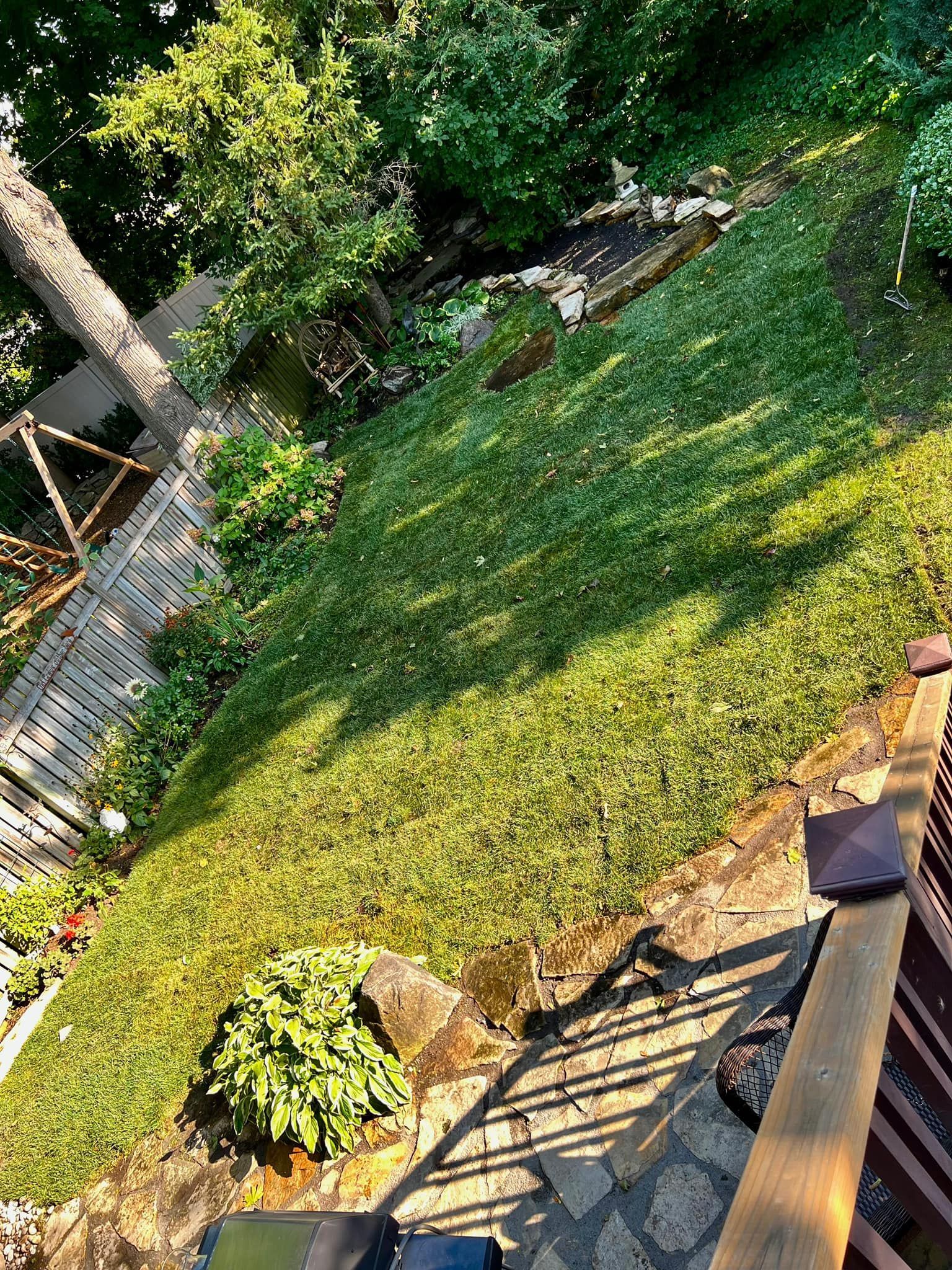 Green grassy yard on a slope with plants and a wooden deck, viewed from above.