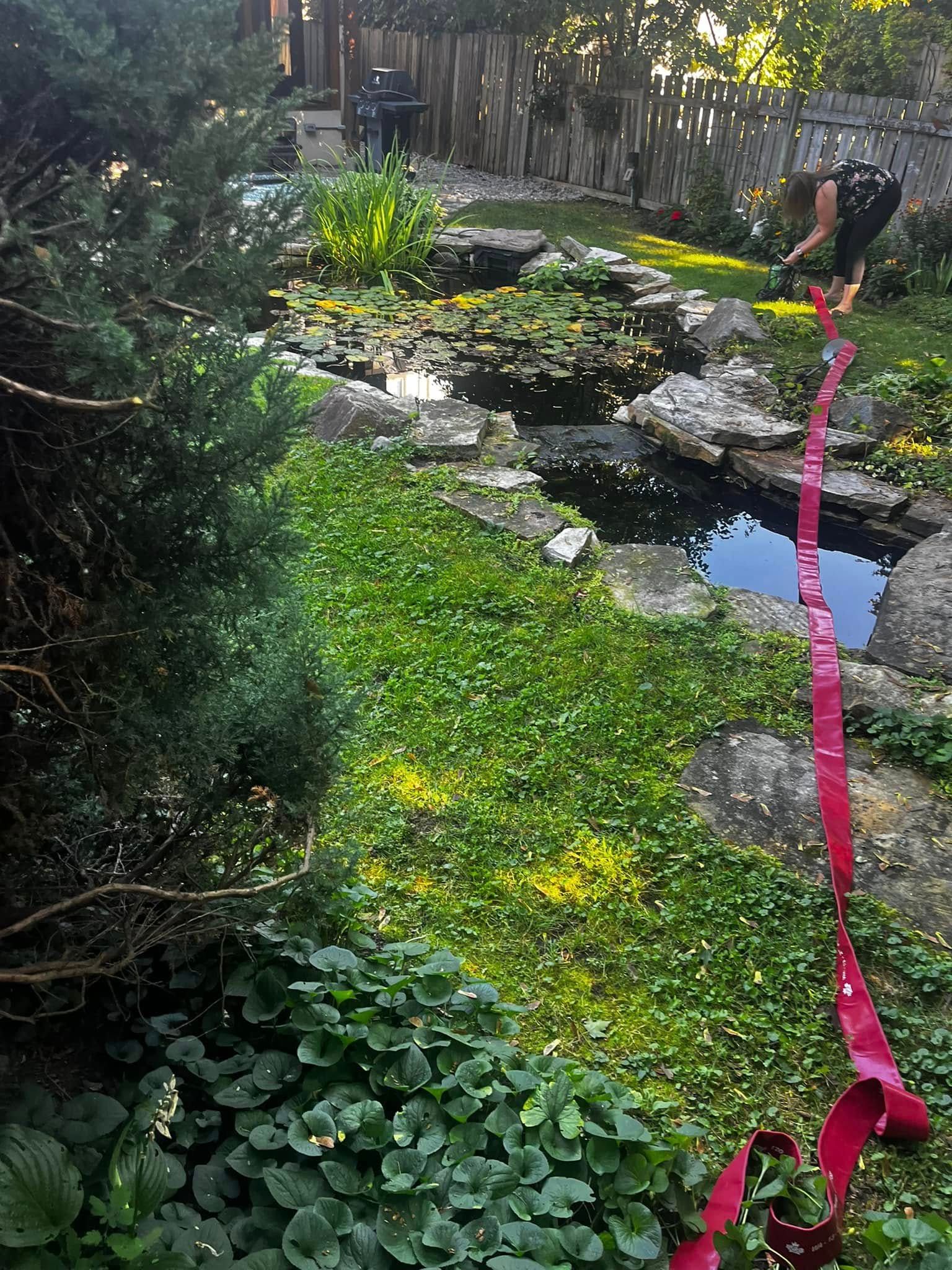 A person in a garden pond, unrolling a long, red ribbon. Green foliage and water features.