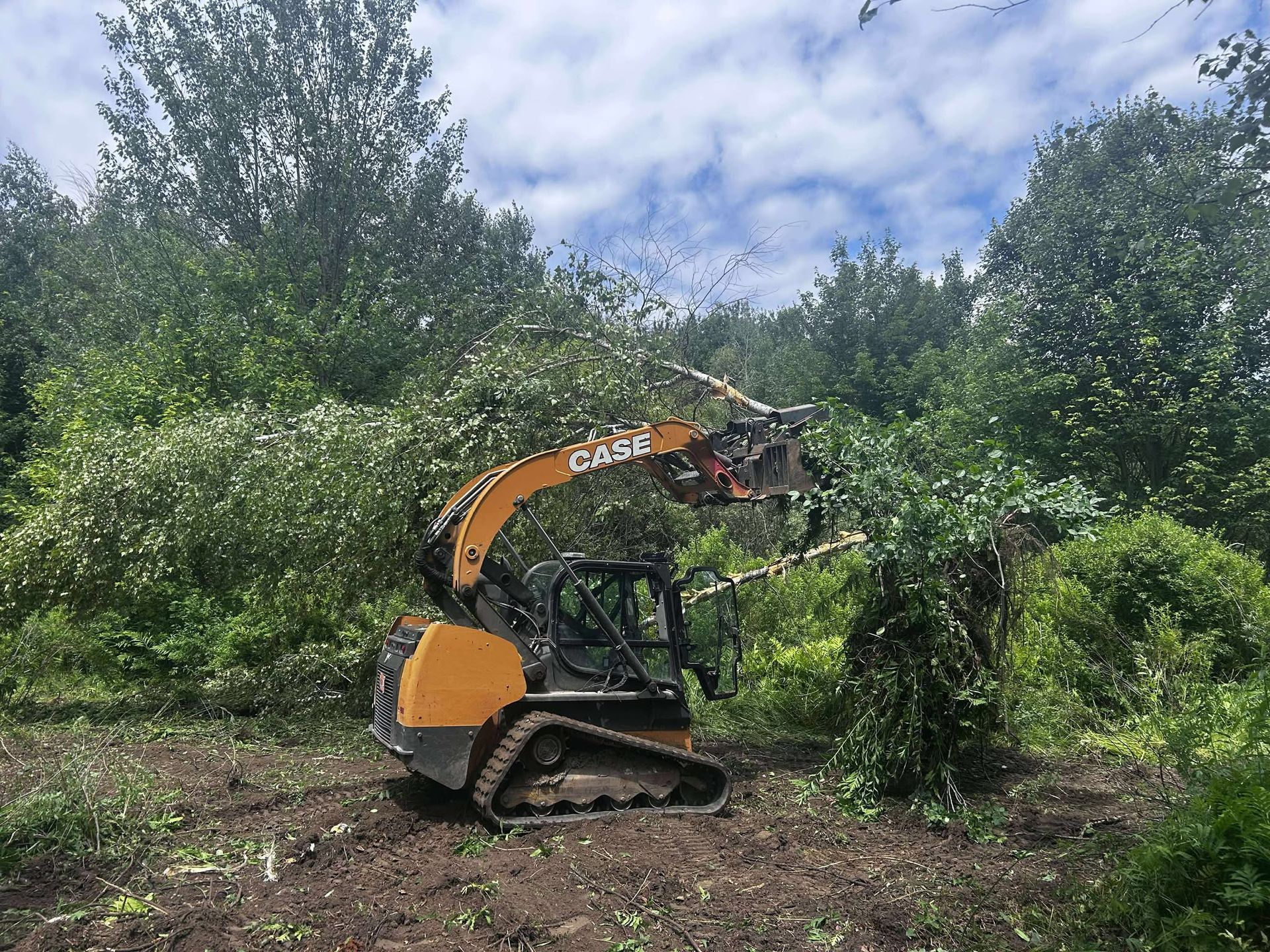 A Case skid steer clears brush from a wooded area under a cloudy sky.