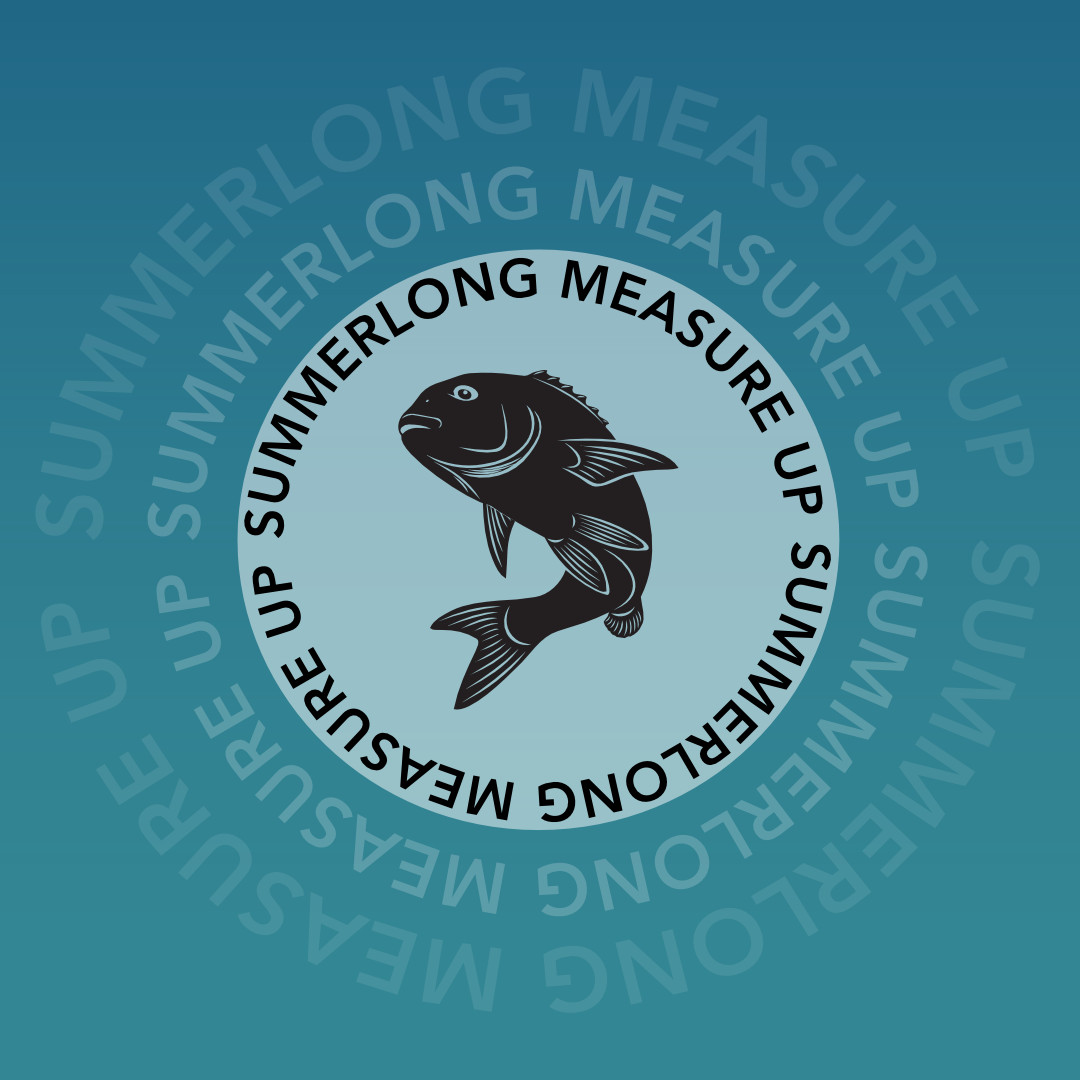 Summerlong Measure Up