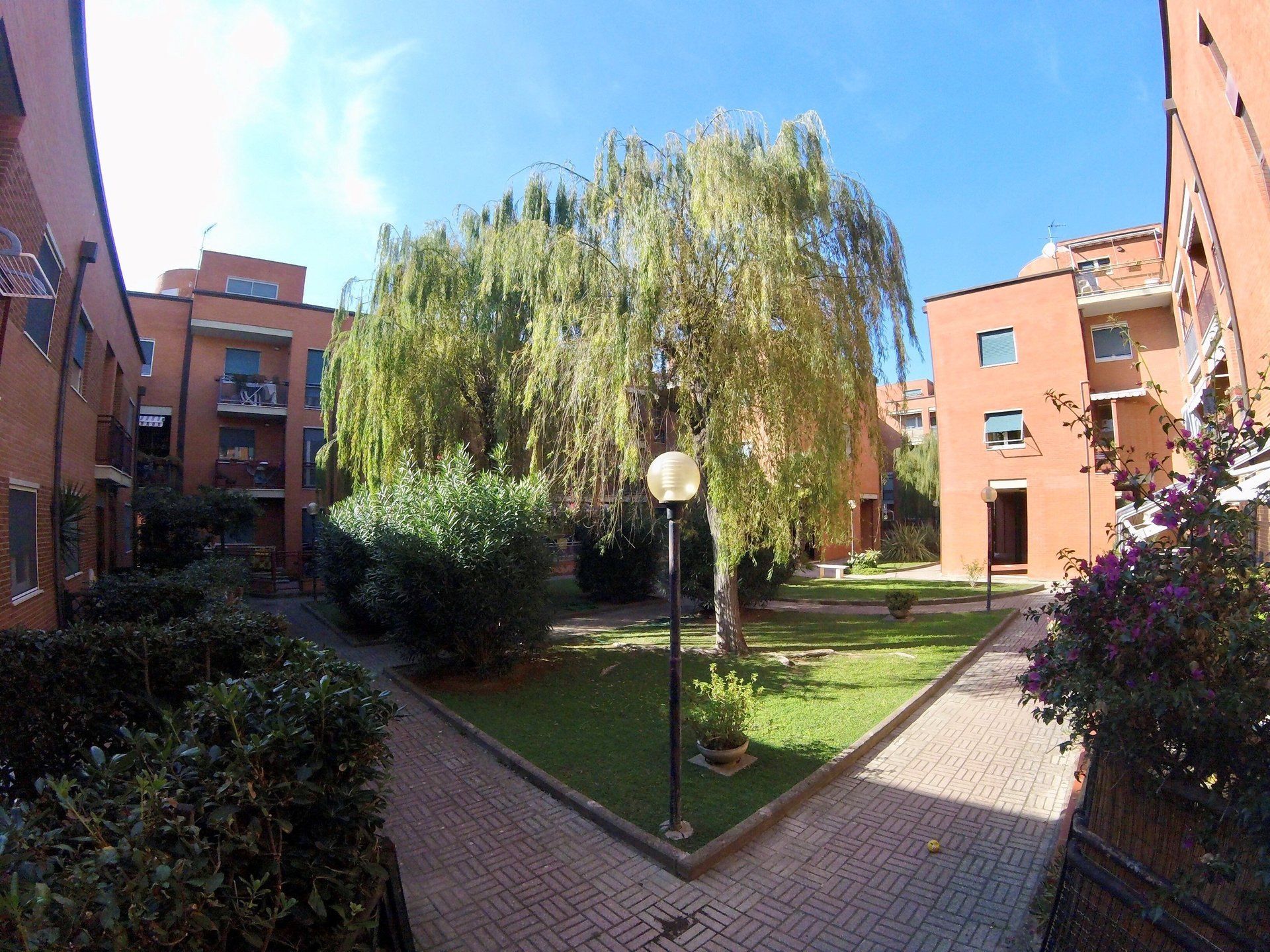 giardino con alberi ed intorno palazzi