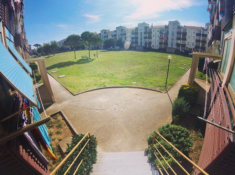 piazza con prato e alberi, intorno edifici