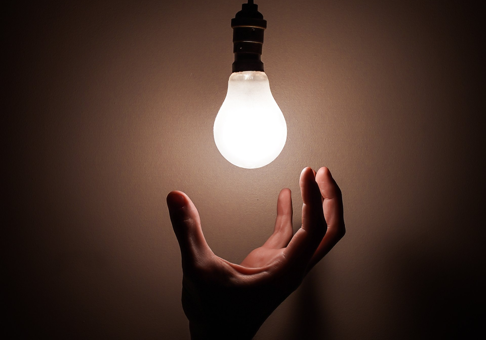 Light Bulb