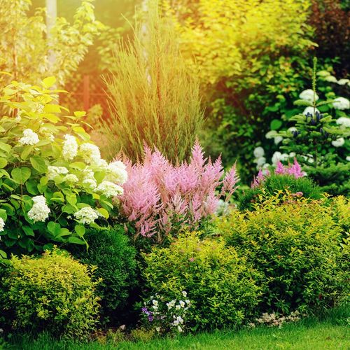 Summer Garden — Medina, OH — Total Landscaping & Lawn Care, LLC
