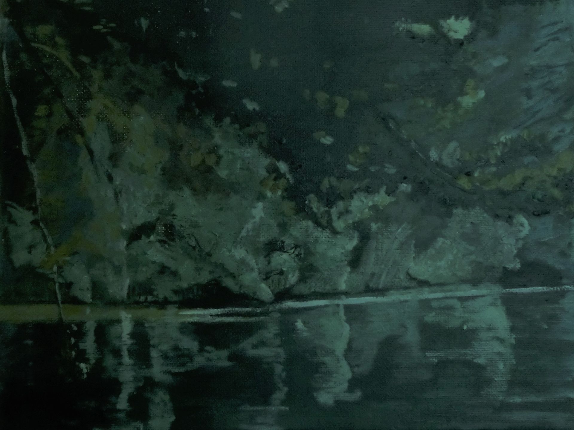 Ein Waldsee mit dunkelgrün bewachsenem Ufersaum im Hintergrund. Dieser wird  von diesseitigen Bäumen teilweise verdeckt. Baumspiegelungen im schwarzen Wasser.