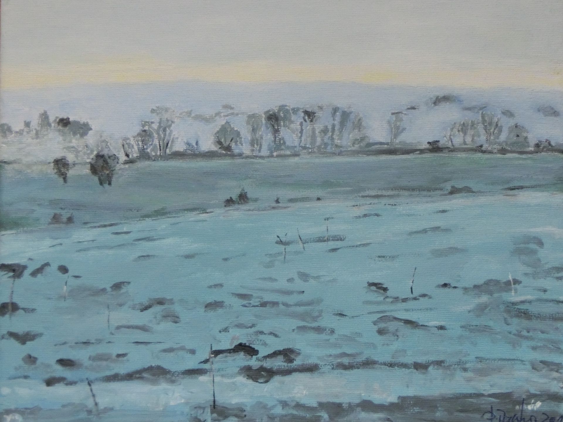 Eine frostige, wellige  Wiesenlandschaft mit einem Knick im Hintergrund. Der Himmel hat eine zarte, aber frostige Farbe. Es ist ein früher Morgen, Wolkenlos.