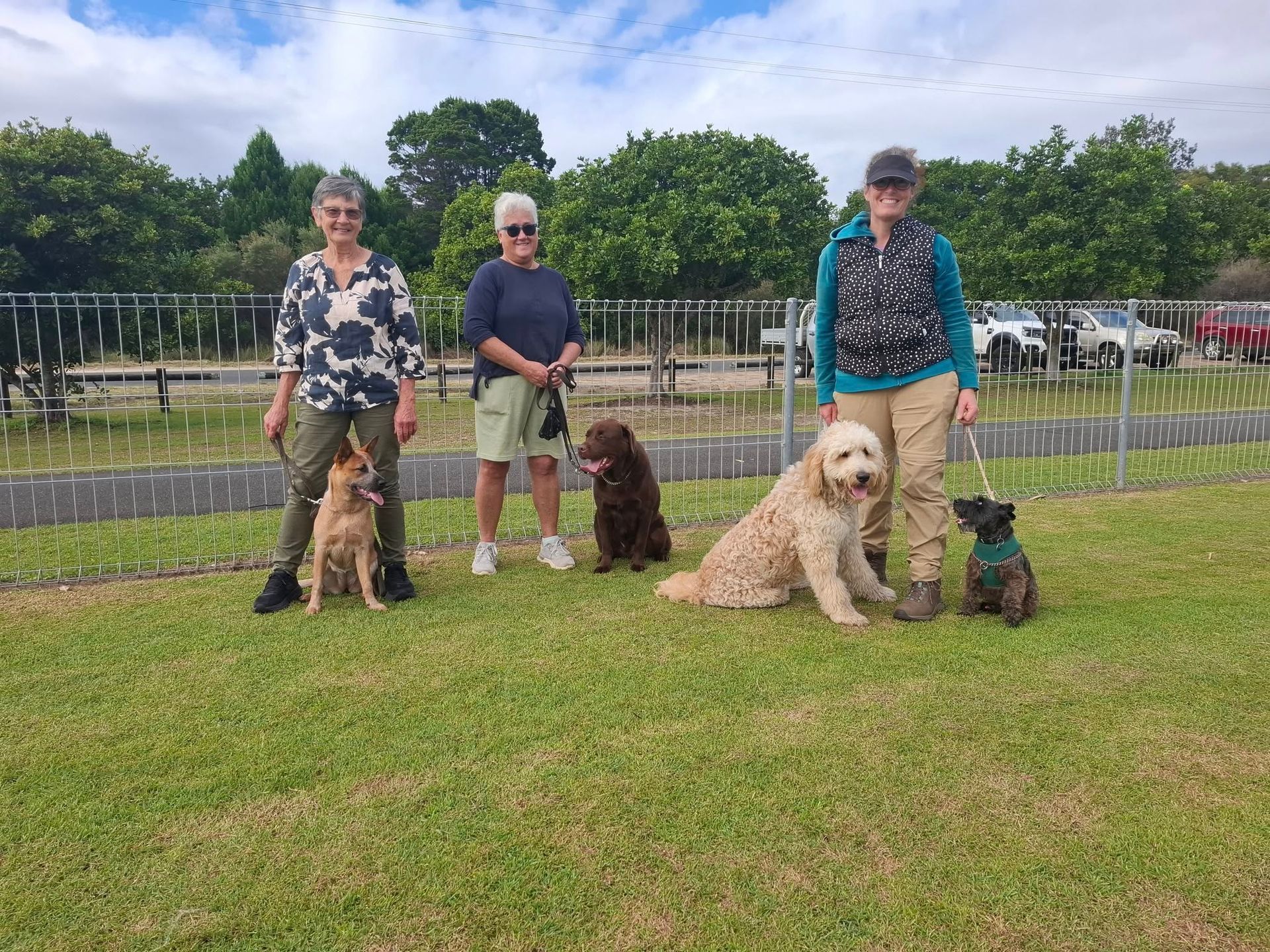 Three women with four dogs in a grassy park — Amanda's Professional K9 Training In Forster, NSW