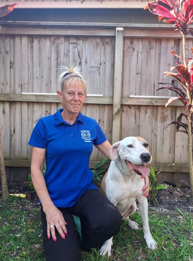 Woman in Blue Shirt Kneels Beside Dog — Amanda's Professional K9 Training In Forster, NSW