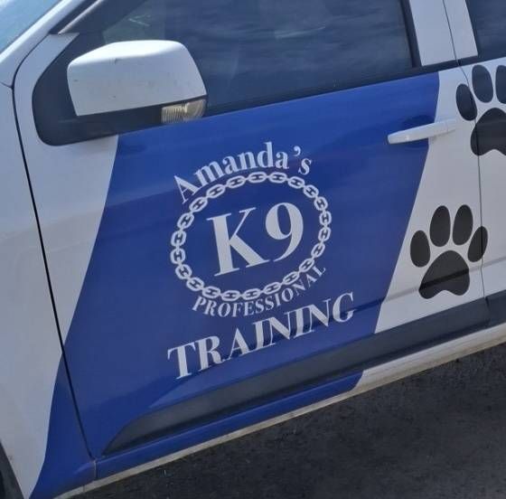 Blue and white vehicle door with 