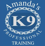 Dog Trainer in Forster