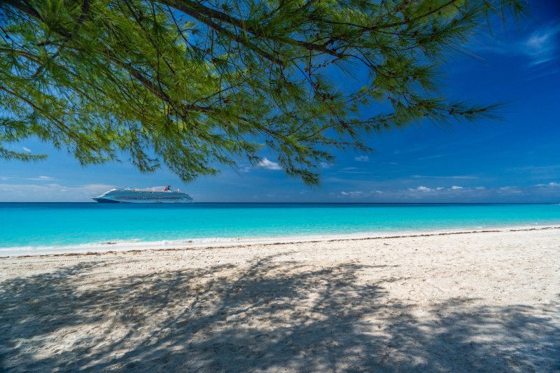 White sand beach, turquoise water, blue sky, tree branches, cruise ship on the horizon.