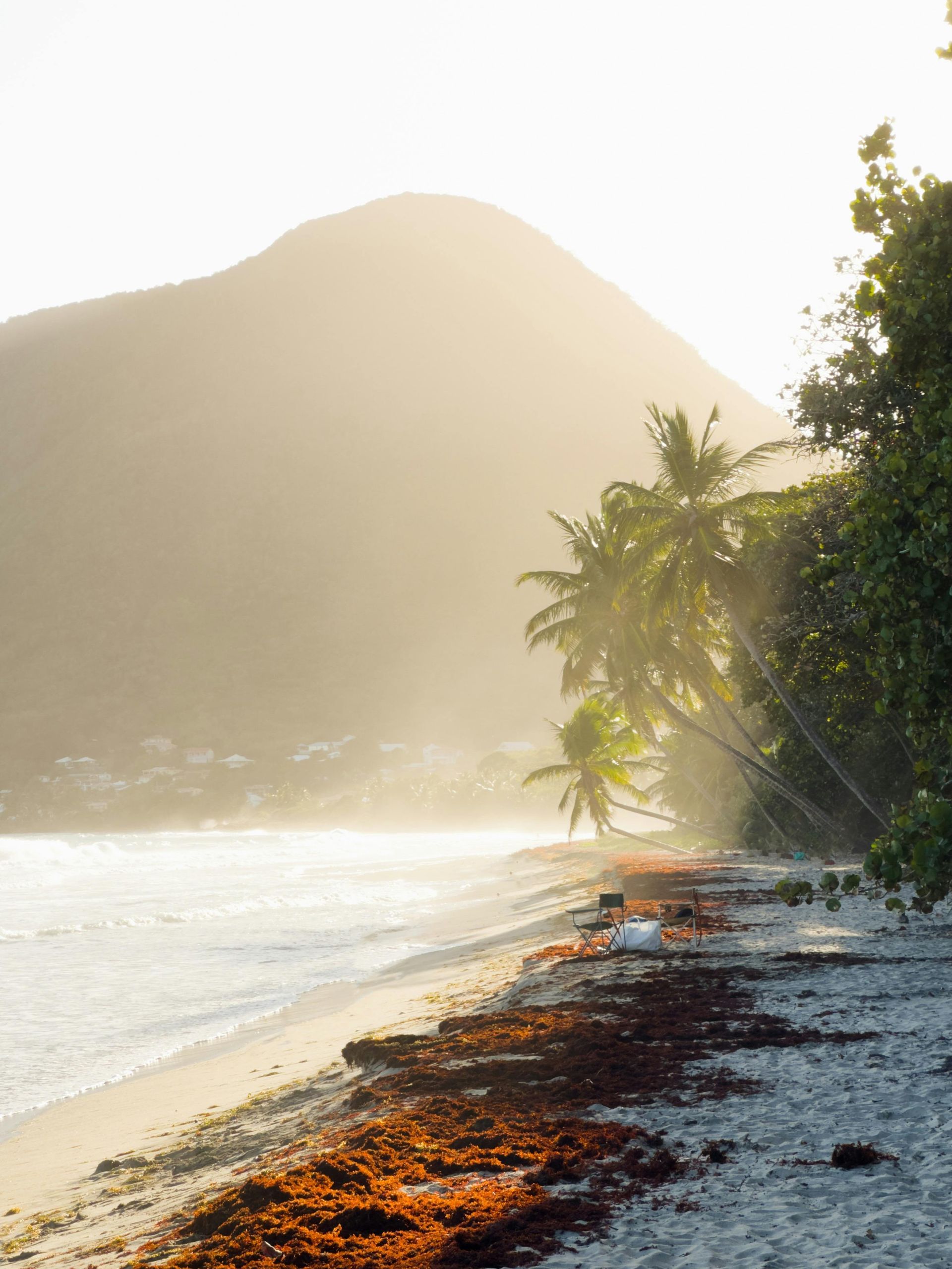 Beach with palm trees, mountain in the background, bathed in golden sunlight.