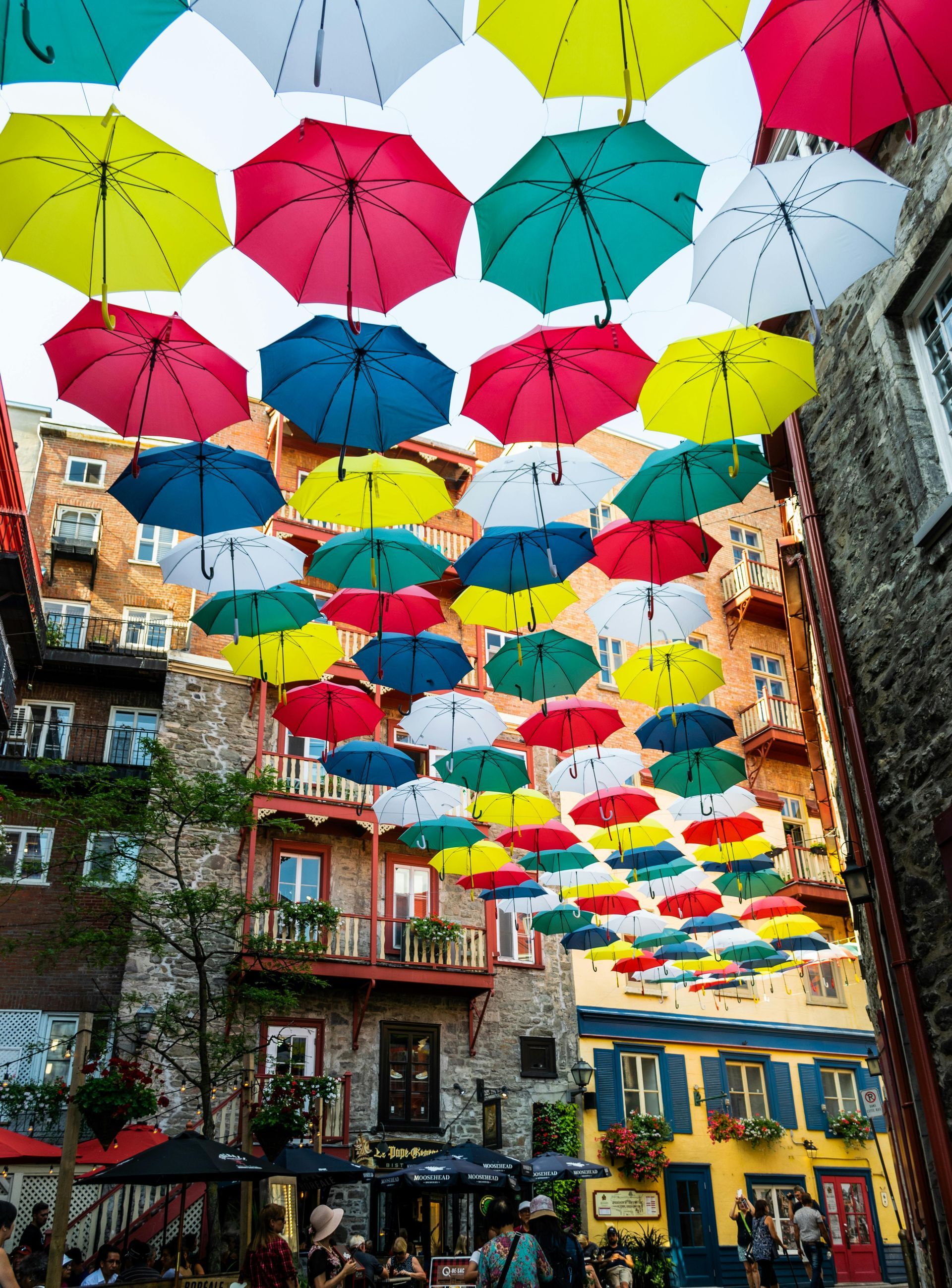 Colorful umbrellas strung over a street in an old city. Buildings in the background.