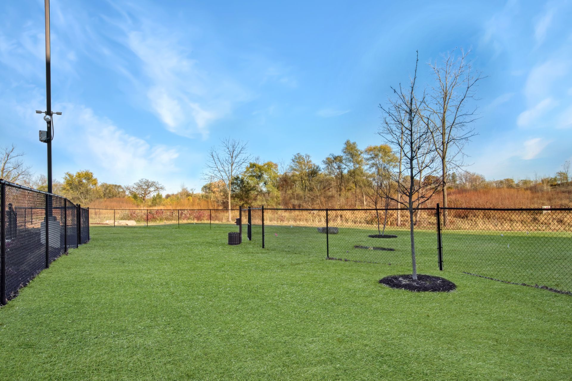 A dog park with a fence and trees in the background.