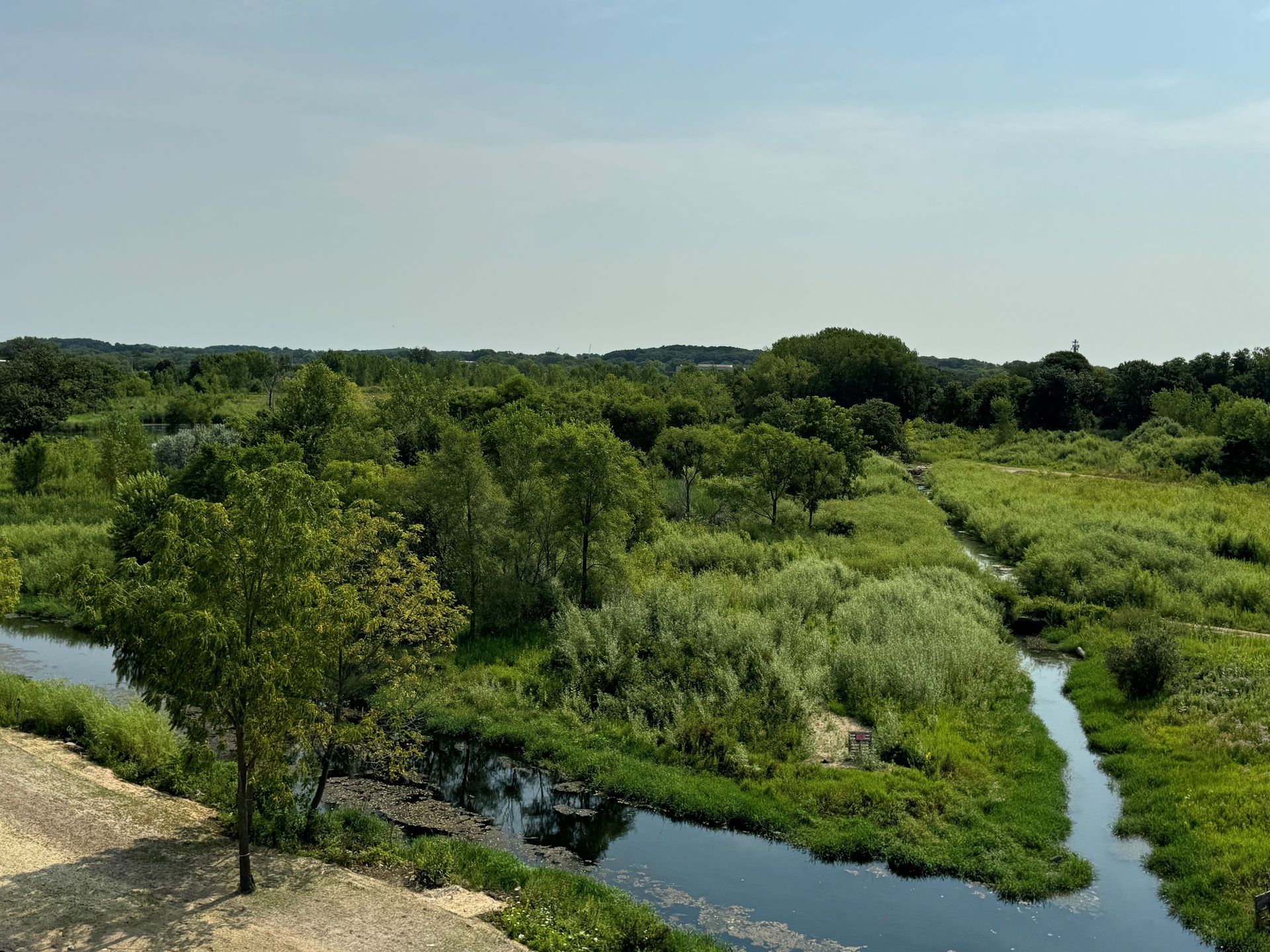 An aerial view of a river surrounded by trees and grass.