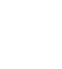 steering wheel icon