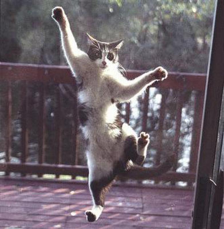 zanzariere per ogni ambiente