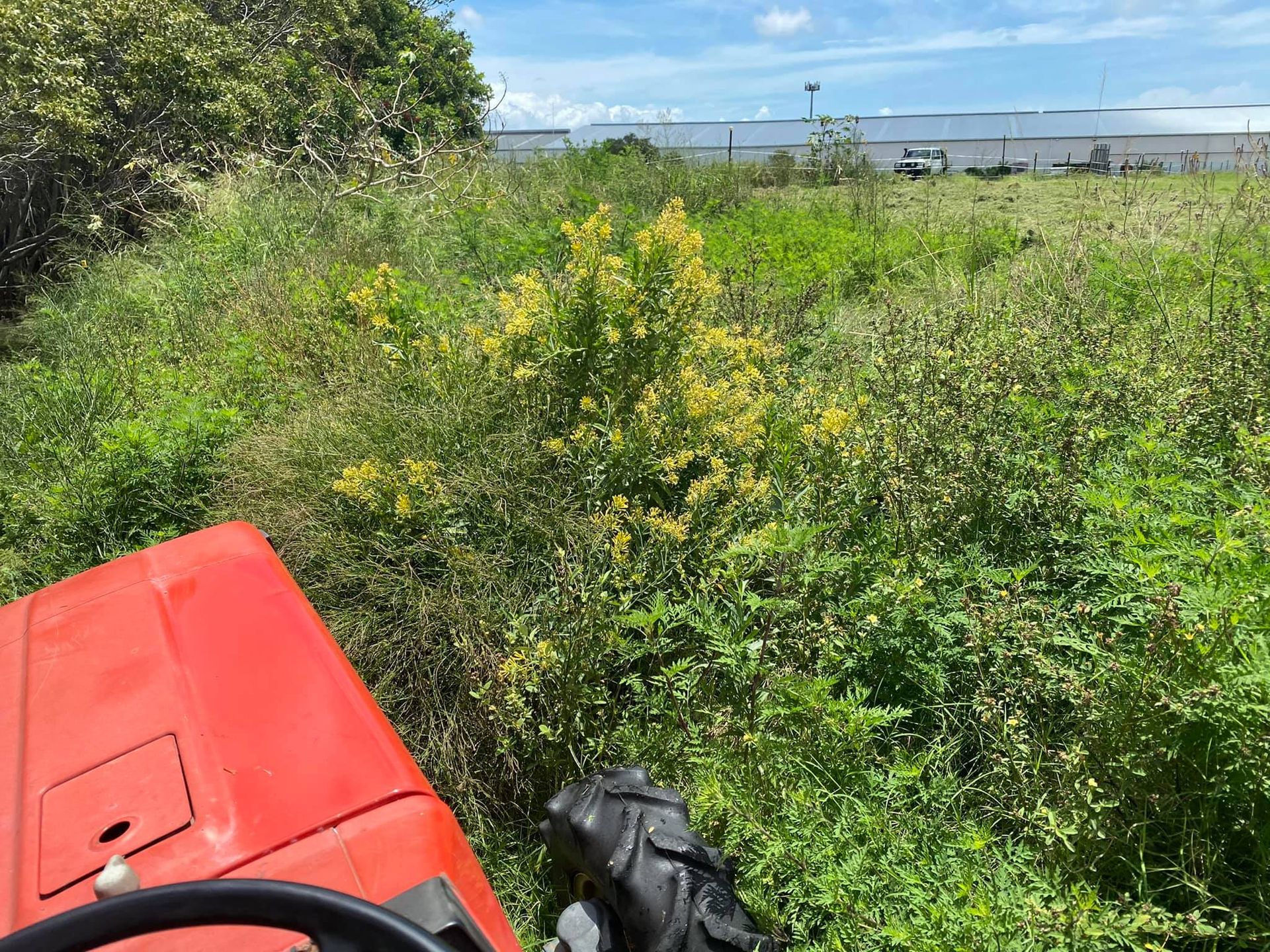 Tractor Slashing in Narangba Price Mowing & Slashing