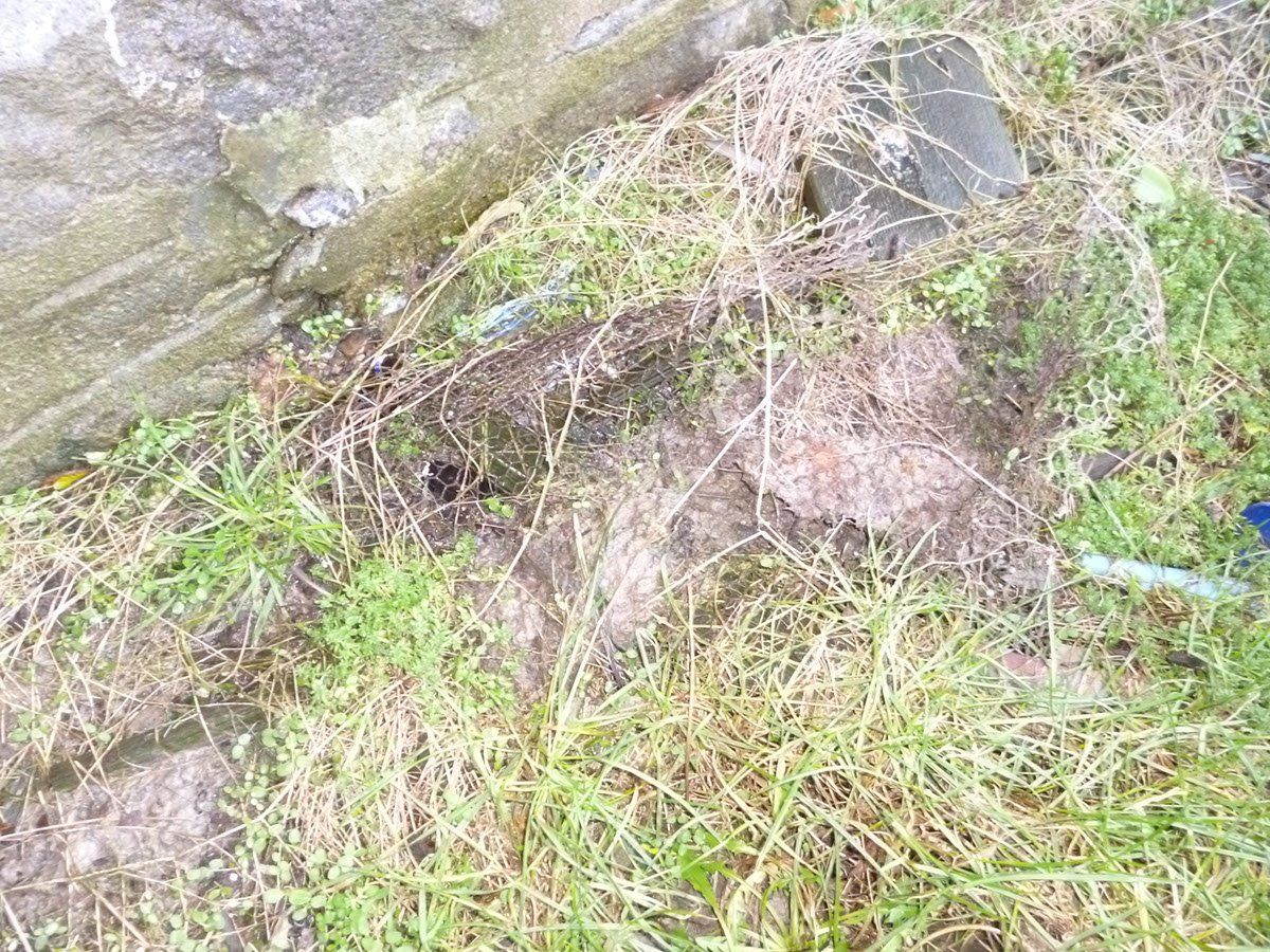 asbestos management example 6