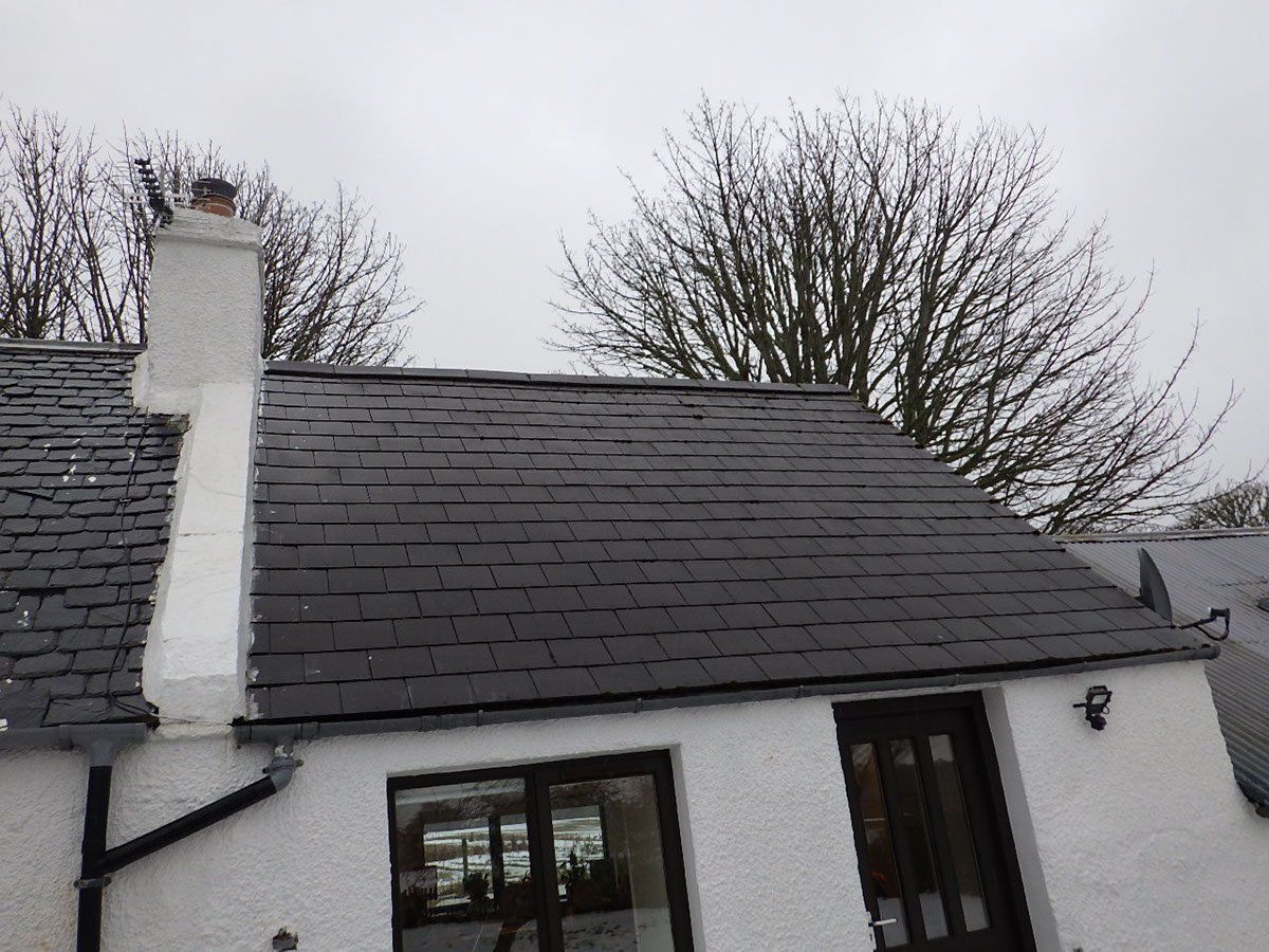 asbestos management example 5