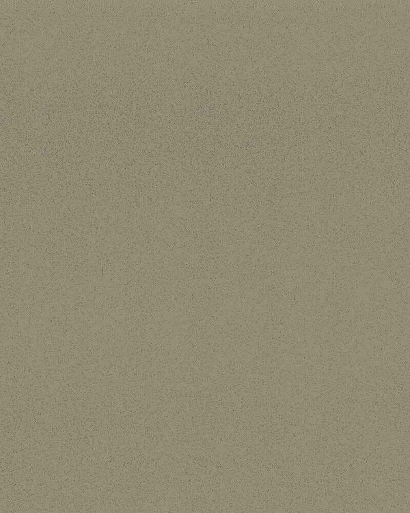 A close up of a piece of paper with a grainy texture.