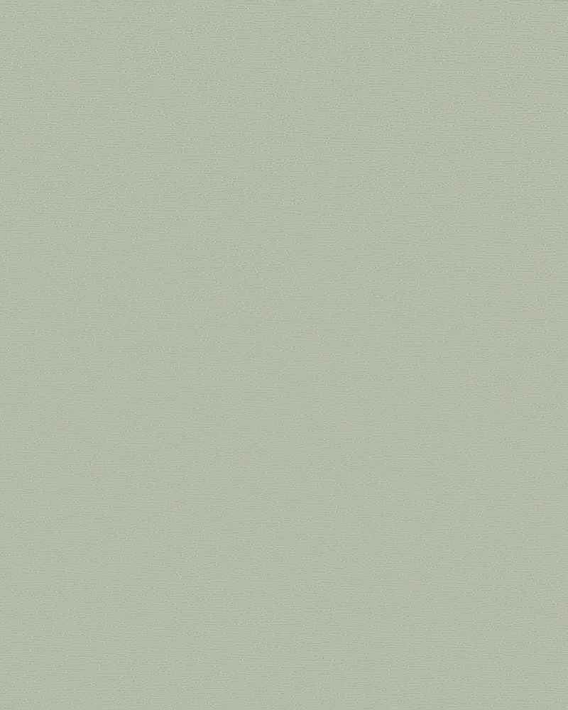 A close up of a light green paper texture.