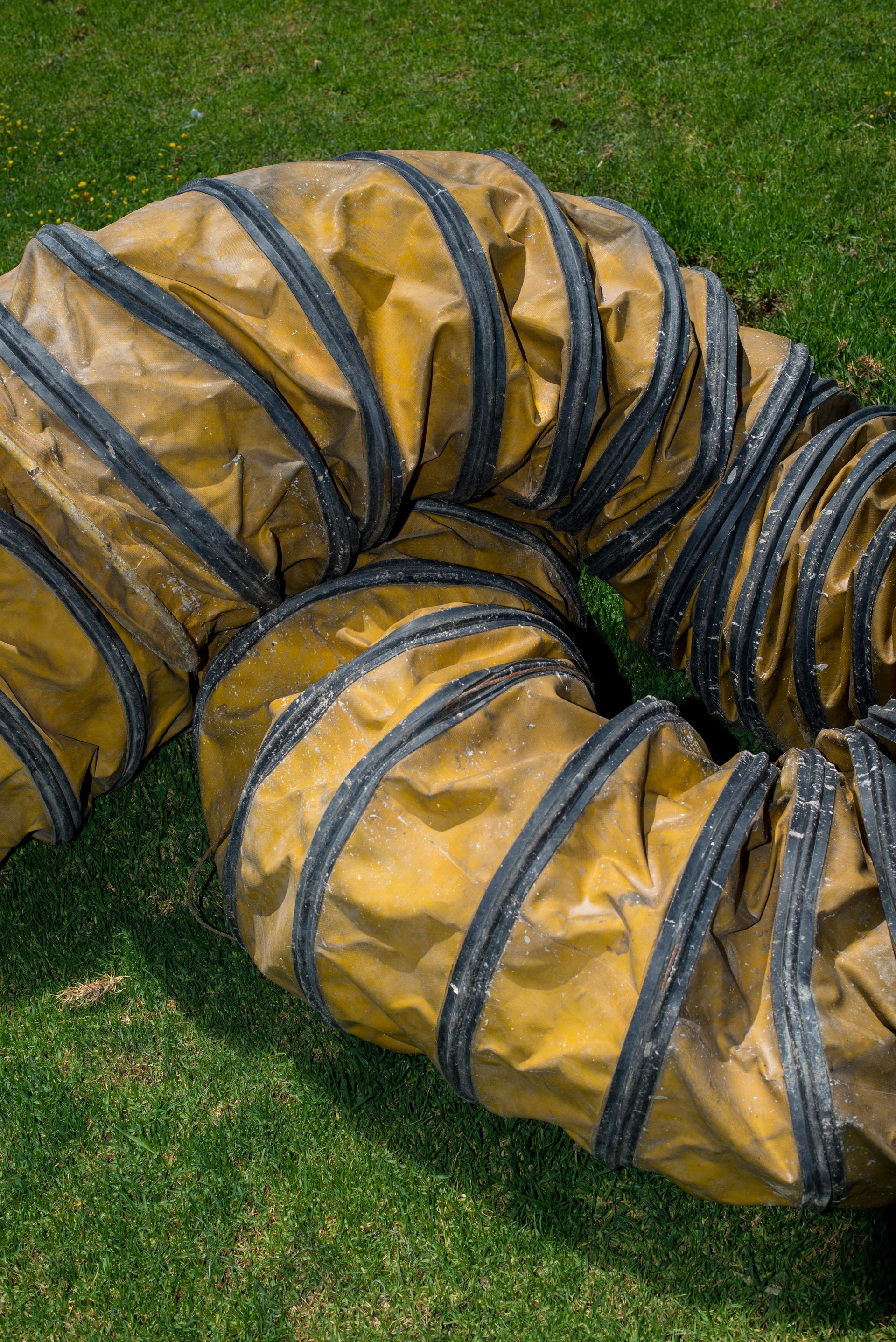 Yellow and black dog agility tunnel on green grass.