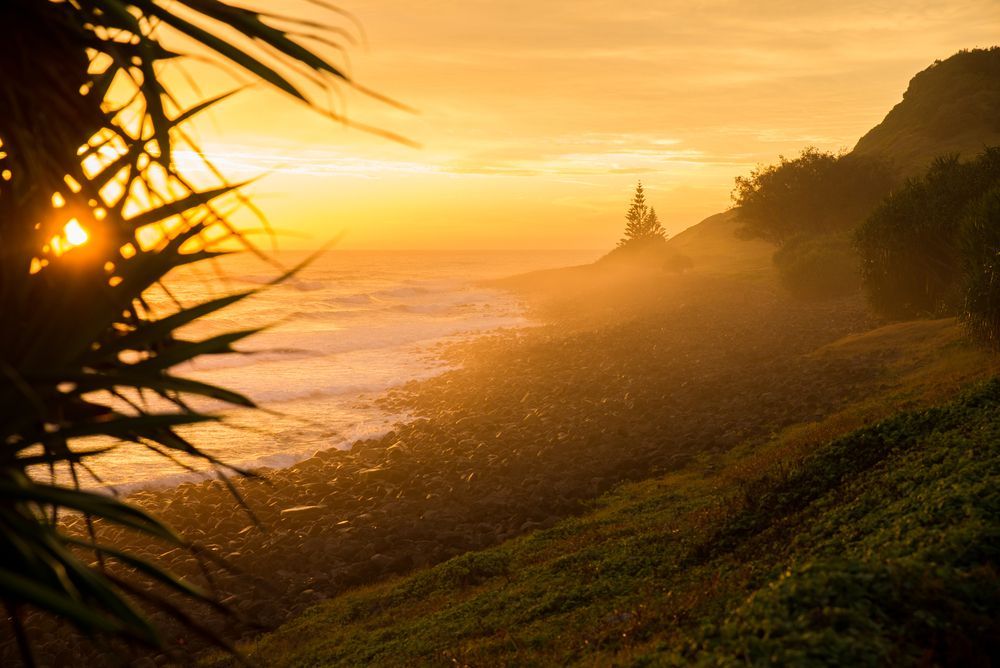 A sunset over the ocean with trees in the foreground