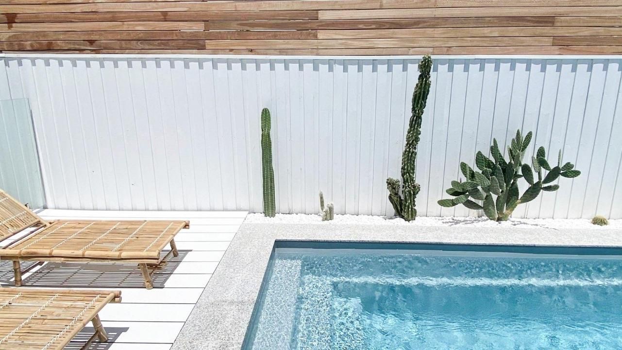 A swimming pool with a white fence and a cactus in the background.