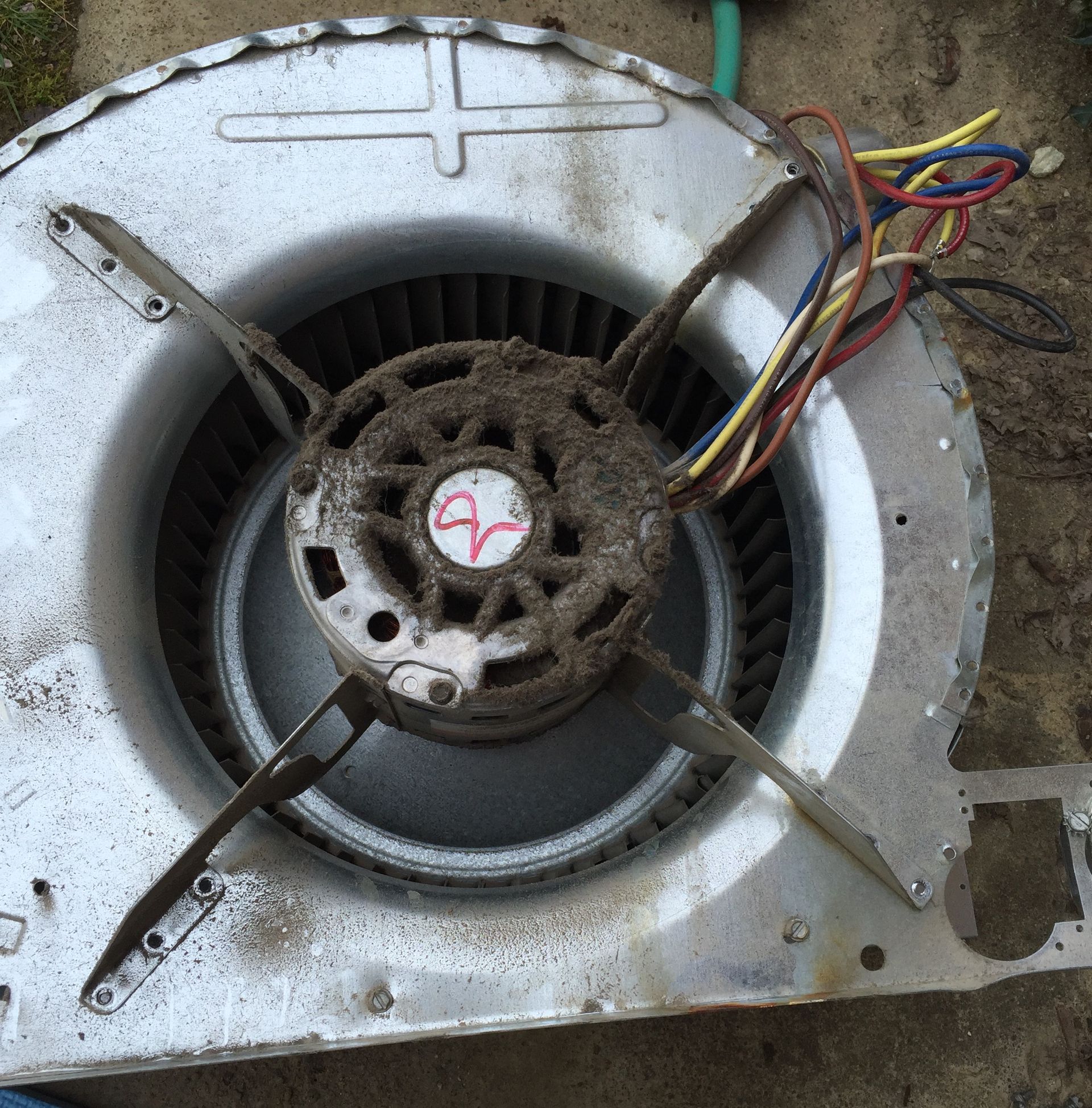 Gas furnace inspection before Kings Heating heating maintenance service