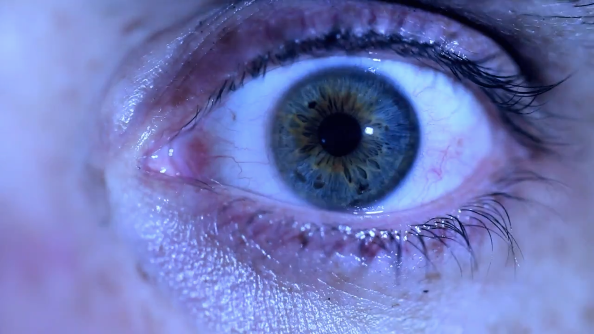 Molotov Solution, BLOOD OF TYRANTS, MUSIC VIDEO, Director/Editor: Josh Knoff