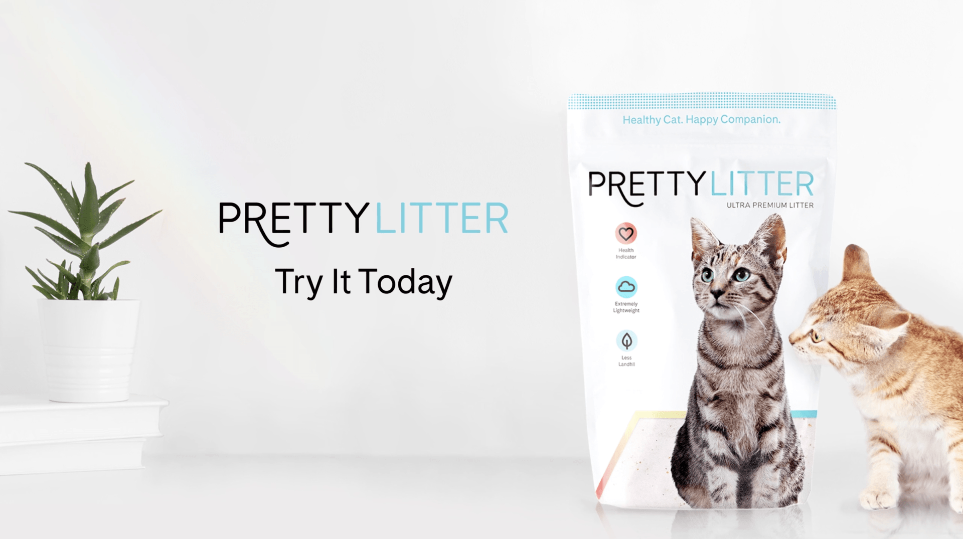 PRETTY LITTER - OLD LITTER VS. NEW LITTER SPOT - Director/Editor: Josh Knoff
