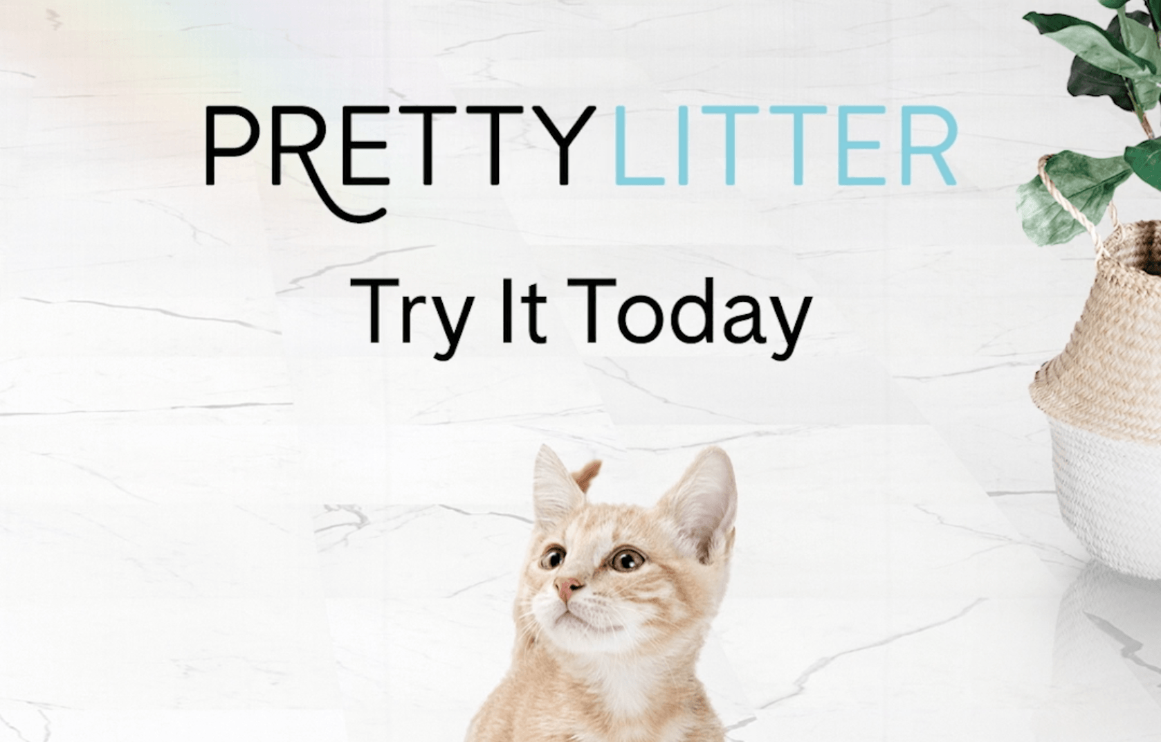 PRETTY LITTER - HEALTH MONITORING SPOT - Director/Editor: Josh Knoff