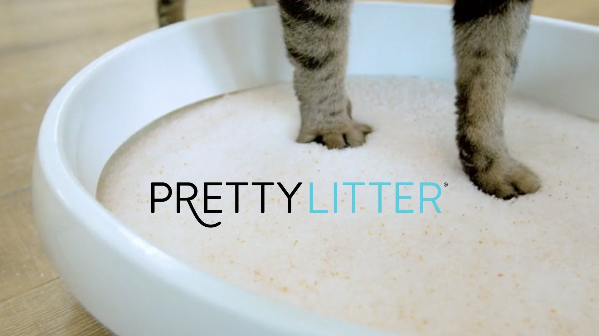 PRETTY LITTER - COLOR CHANGE SPOT - Director/Editor: Josh Knoff